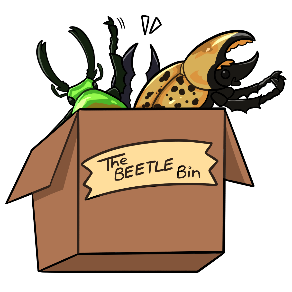 Affordable Live Pet Beetles, Supplies & More | THEBEETLEBIN