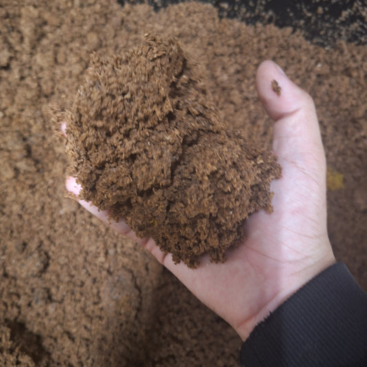 Flake soil held in hand, ideal substrate for growing healthy beetles.